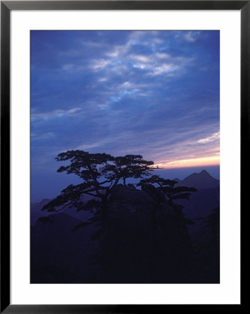 Pine Tree And Mountain Peak At Sunrise, Mt. Huangshan (Yellow Mountain), China by Keren Su Pricing Limited Edition Print image