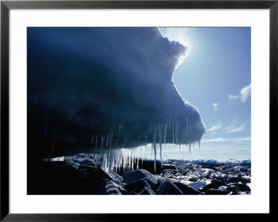Icicles Formed In Summer From Melt And Spray On Icebergs And Icecliffs, Antarctica by Chester Jonathan Pricing Limited Edition Print image