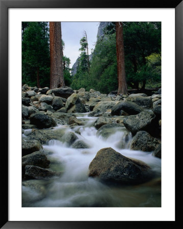Yosemite Creek, Yosemite National Park, California, Usa by Curtis Martin Pricing Limited Edition Print image