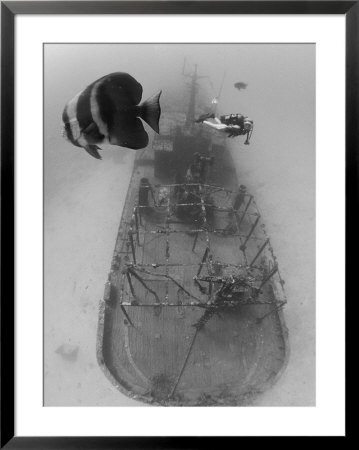 Scuba Diver Near Sunken Ship by Stuart Westmoreland Pricing Limited Edition Print image