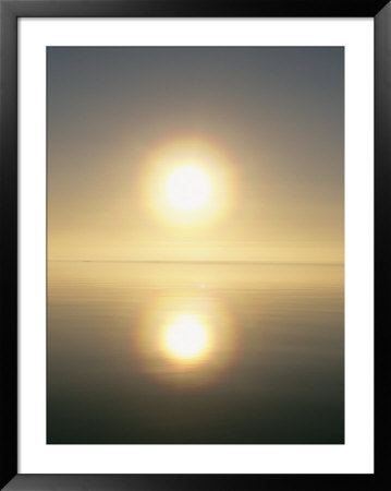 The Sun Casts Its Reflection Upon The Water by Norbert Rosing Pricing Limited Edition Print image
