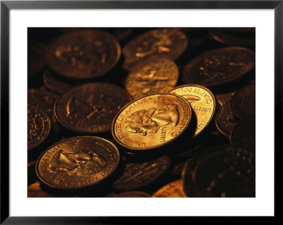 A Close View Of American Coins by Joel Sartore Pricing Limited Edition Print image