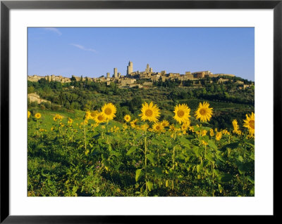 San Gimignano And Field Of Sunflowers, Tuscany, Italy by Bruno Morandi Pricing Limited Edition Print image
