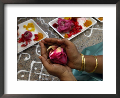 A Hindu Woman Worshipper Holding Rose Offering At The Sri Srinivasa Permual Temple, Singapore by Michael Coyne Pricing Limited Edition Print image