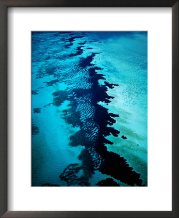 Aerial Of Coral Formations, Shark Bay, Australia by Richard I'anson Pricing Limited Edition Print image