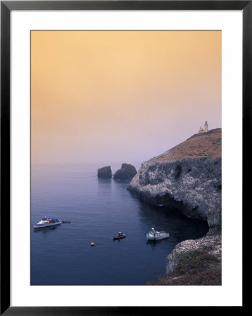 Channel Islands, Anacapa Island, California, Usa by Nik Wheeler Pricing Limited Edition Print image