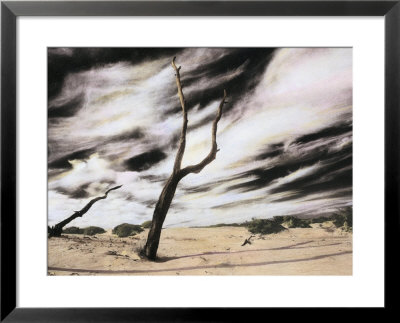 Encroaching Sand Dunes Bury Dead Tree Trunks by Annie Griffiths Belt Pricing Limited Edition Print image