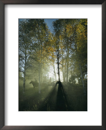 Horseback Riders In Morning Haze Of Aspen Forest, Zion National Park, Utah by Sam Abell Pricing Limited Edition Print image
