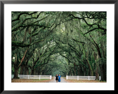 Women Walking Under Oak Trees With Moss, Live Oak Avenue, Wormsloe Historic Site, Savannah, Usa by Jeff Greenberg Pricing Limited Edition Print image