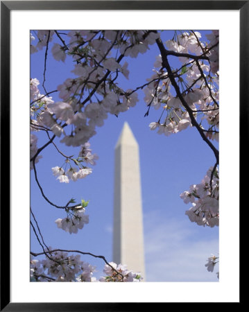 Washington Monument, Washington D.C. by Mark Gibson Pricing Limited Edition Print image