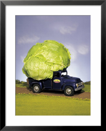 Lettuce In Bed Of Miniature Truck by Peter Ardito Pricing Limited Edition Print image