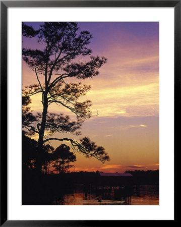 Cotton Bayou At Sunset by Jeff Greenberg Pricing Limited Edition Print image