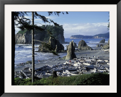 Ruby Beach, Olympic National Park, Washington, Usa by William Sutton Pricing Limited Edition Print image