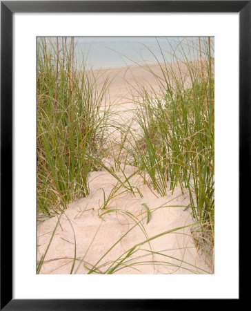 Smyrna Dunes Park, New Smyrna Beach, Florida by Lisa S. Engelbrecht Pricing Limited Edition Print image