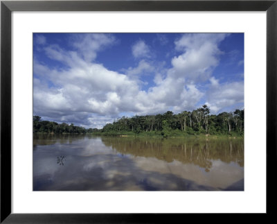 The Itui River, Remote Tributary Of The Amazon, Rimmed By Rain Forest by Stephen St. John Pricing Limited Edition Print image