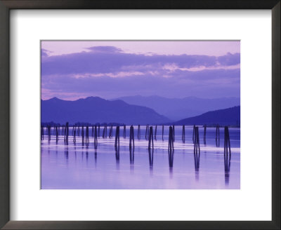Pilings Reflecting In Calm Water, Pend Oreille River, Washington, Usa by Jamie & Judy Wild Pricing Limited Edition Print image