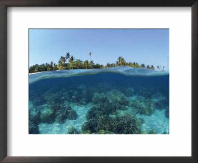 Split-Level Shot Of Coral Reef And Shore, Phillippines by Jurgen Freund Pricing Limited Edition Print image