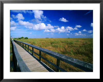 Walkway Through River Of Grass, Sawgrass Slough, Pa-Hey-Okee Overlook, Everglades National Park, Us by Witold Skrypczak Pricing Limited Edition Print image