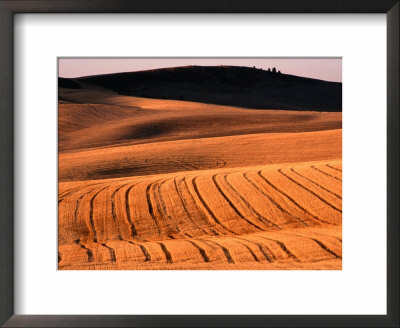 Harvested Wheat Fields, Palouse Region, Palouse, Usa by Nicholas Pavloff Pricing Limited Edition Print image
