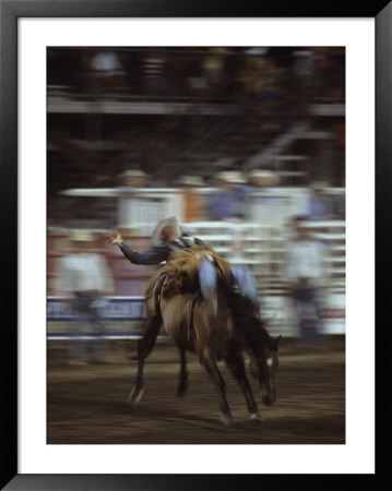 A Cowboy Rides A Bucking Bronco During A Rodeo, Steamboat Springs, Colorado by Taylor S. Kennedy Pricing Limited Edition Print image