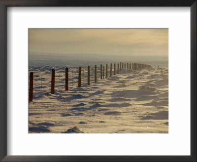 Wire Fence In A Winter Landscape by Bobby Model Pricing Limited Edition Print image