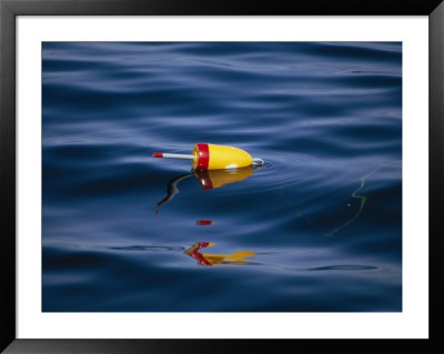 A Brightly-Colored Lobster Buoy Reflects In The Oceans Surface by Stephen St. John Pricing Limited Edition Print image