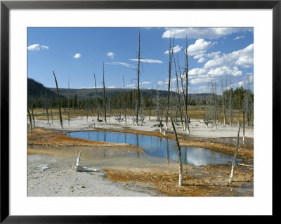 Opalescent Pool, Black Sand Basin, Yellowstone National Park by Norbert Rosing Pricing Limited Edition Print image