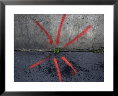Neon Paint Points To A Plant Emerging From A Crack In The Sidewalk by Cotton Coulson Pricing Limited Edition Print image