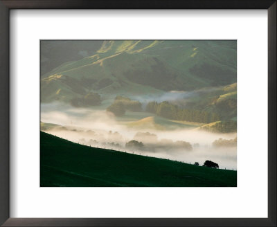 Misty Farmland Near Martinborough, Wairarapa, North Island, New Zealand by David Wall Pricing Limited Edition Print image