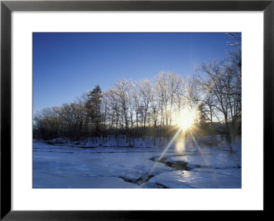 Ice Coats The Trees On Mousam River, Rachel Carson National Wildlife Refuge, Maine, Usa by Jerry & Marcy Monkman Pricing Limited Edition Print image