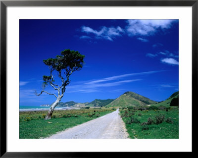 Gravel Road Linking Te Araroa To East Cape, Gisborne, New Zealand by Barnett Ross Pricing Limited Edition Print image