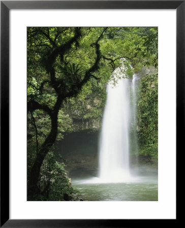 Waterfall In A Woodland Setting by Tim Laman Pricing Limited Edition Print image