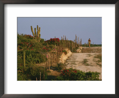 A Woman Runs Along A Road In Baja, Mexico by Jimmy Chin Pricing Limited Edition Print image