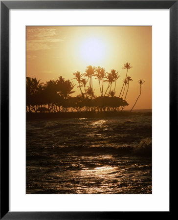 Coconut Trees At Sunset, Kohala Coast, Usa by Holger Leue Pricing Limited Edition Print image