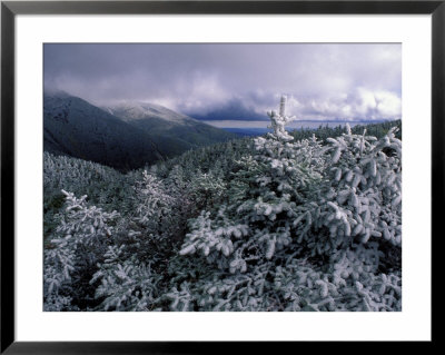 Snow Coats The Boreal Forest On Mt. Lafayette, White Mountains, New Hampshire, Usa by Jerry & Marcy Monkman Pricing Limited Edition Print image