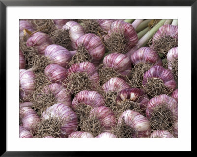 Garlic At Pike Place Market, Seattle, Washington, Usa by Jamie & Judy Wild Pricing Limited Edition Print image