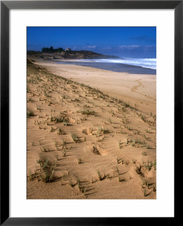 Papohaku Beach On West End, Molokai, Hawaii, Usa by Karl Lehmann Pricing Limited Edition Print image