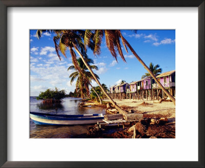 Holiday Accomodation Overlooking Palms And Mangroves, Belize by Wayne Walton Pricing Limited Edition Print image
