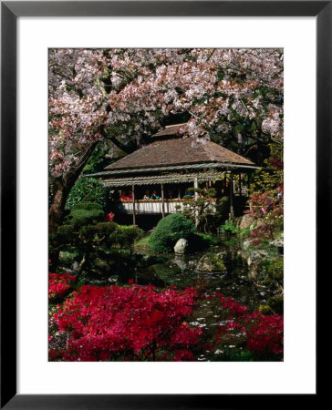 Japanese Tea Garden, San Francisco, California, Usa by Roberto Gerometta Pricing Limited Edition Print image