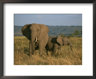 A Female Elephant With Her Baby On A Masai Mara Plain by Roy Toft Pricing Limited Edition Print image