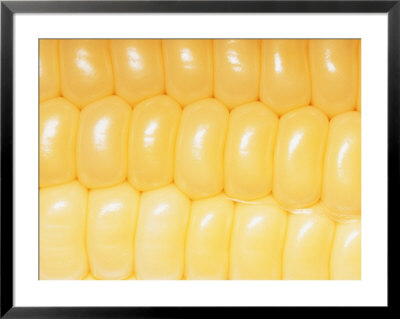 A Close View Of Rows Of Corn Kernels by Brian Gordon Green Pricing Limited Edition Print image