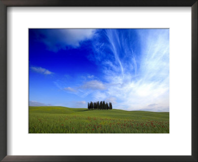 Poppies In A Wheatfield And Cypress Trees Against A Huge Sky by Raul Touzon Pricing Limited Edition Print image
