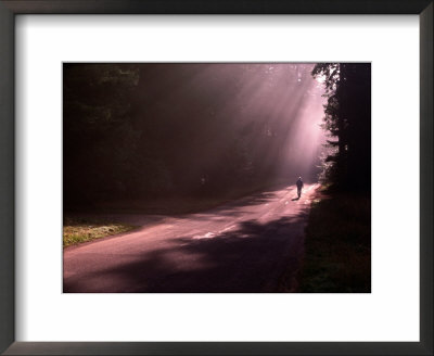 Person Walking Down Rural Road by Carol & Mike Werner Pricing Limited Edition Print image