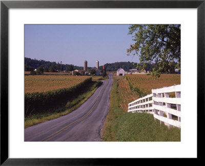 Country Road, Lancaster County, Pa by Michele Burgess Pricing Limited Edition Print image