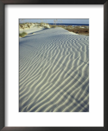 Dunes, Cumberland Island National Seashore by David Wasserman Pricing Limited Edition Print image