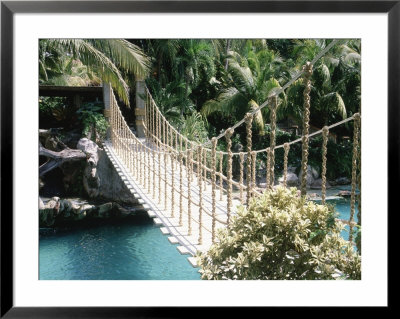 Rope Bridge, Acapulco, Mexico by Barry Winiker Pricing Limited Edition Print image