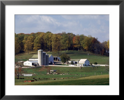 Farm, Pa Dutch Country, Lancaster, Pa by Roger Holden Pricing Limited Edition Print image