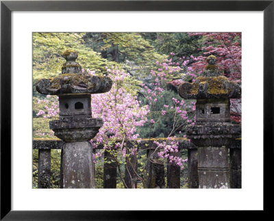 Cherry Blossoms In Garden, Nikko, Japan by Jan Halaska Pricing Limited Edition Print image