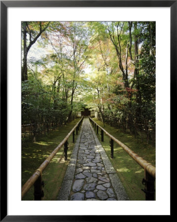 Path, Stone With Bamboo Railing In Japanese Garden, View To Temple & Acer Trees by Rex Butcher Pricing Limited Edition Print image