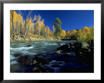 Running Stream Near Fall Foliage, Hermosa, Co by Jim Vitali Pricing Limited Edition Print image